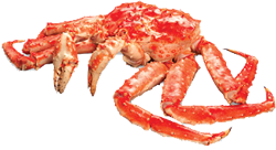 king crab safcol