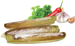 sea asparagus safcol