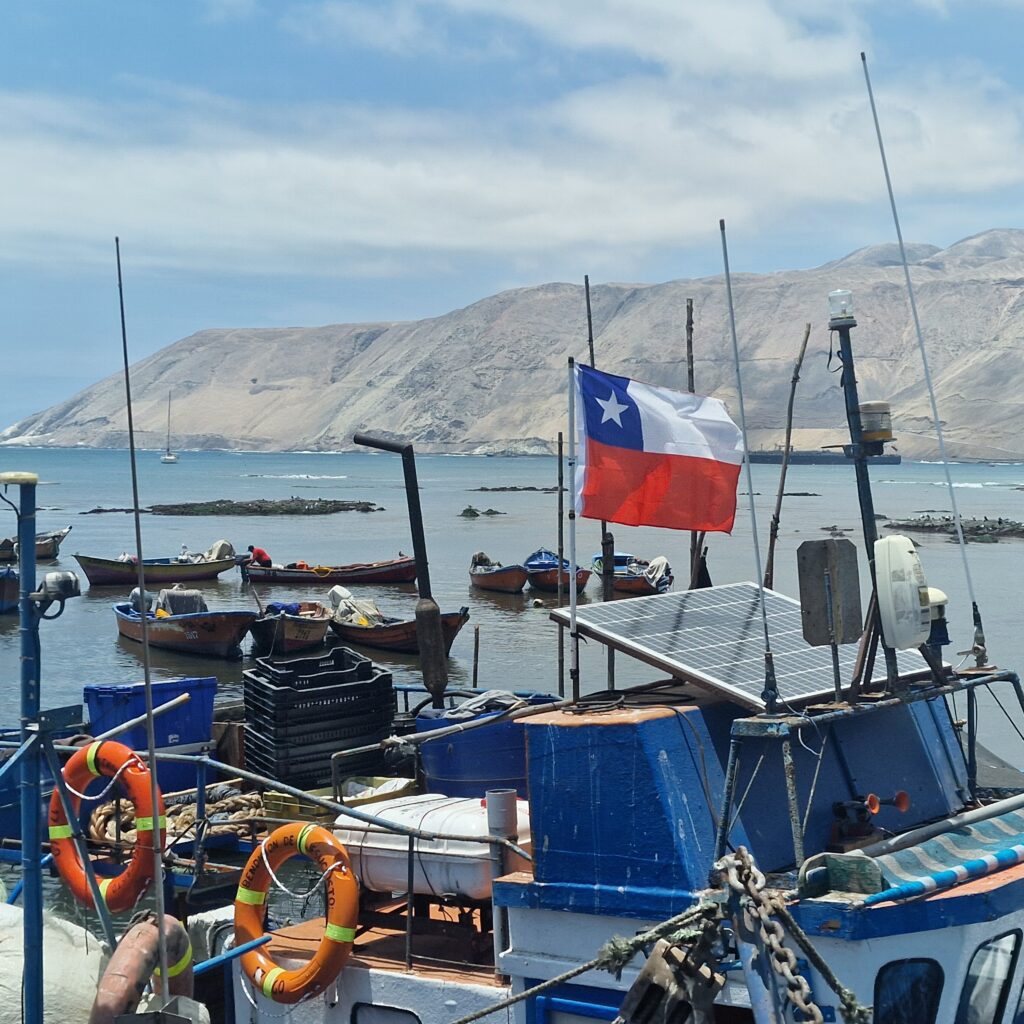 Buy Seafood Online