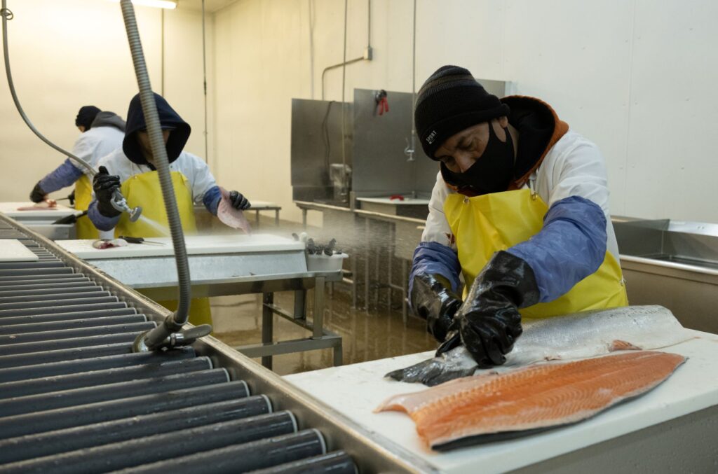 production 11 1024x677