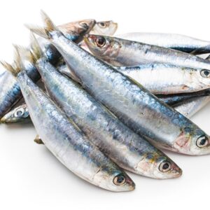 sardine