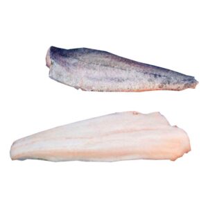 southern hake fillets (merluccius australis)